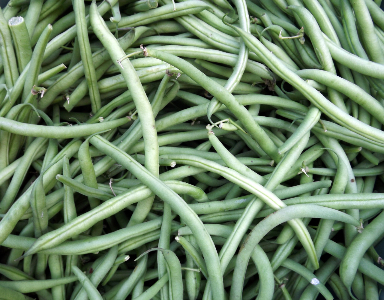 Green Beans